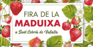 Fira i Diada de la Maduixa de Sant Cebrià de Vallalta