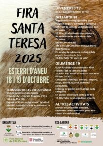 Fira santa teresa esterri d’Àneu 1