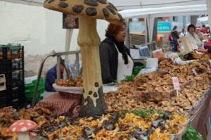 Fira del Bolet i la Natura a Vilassar de Dalt