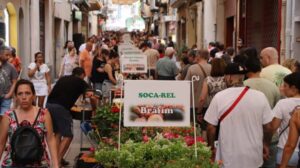 Mercat de vins i caves de l'alt camp a valls foto 1 min