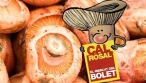 Mercat del bolet de Cal Rosal i Festa del Bolet