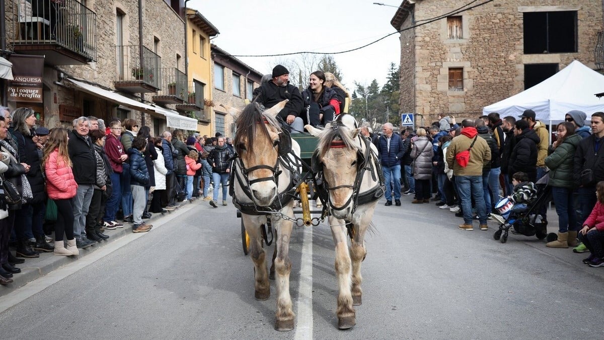 Candelera a perafita foto