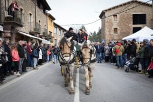 Candelera a perafita foto