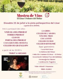 Cartell mostra vins el lloar