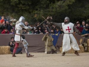 Castrum fidelis 132 2