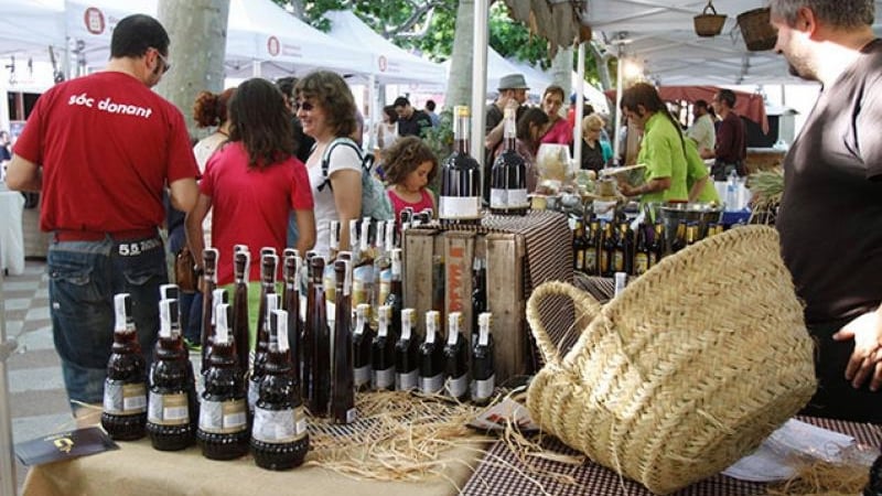 Centelles portada (1)