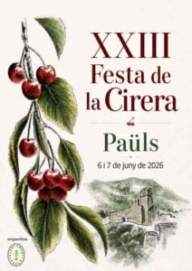 Cirera pauls