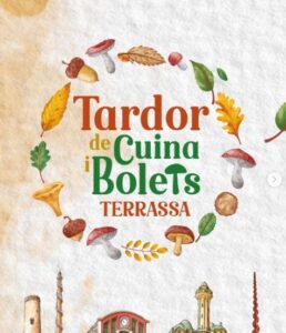 Cuina bolrts terrassa 2025