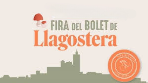Descarga (2) photoroom