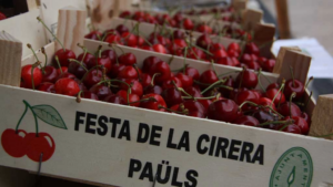 Festa de la Cirera a Paüls