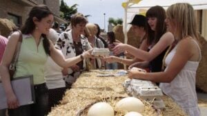Fira de l’Ou a Sant Guim de Freixenet
