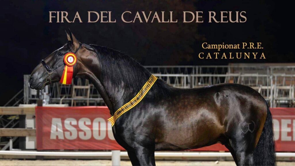 File 42 scaled AAQQoH.tmp