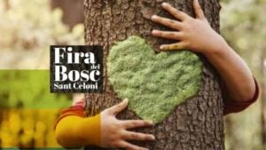 Fira del Bosc a Sant Celoni