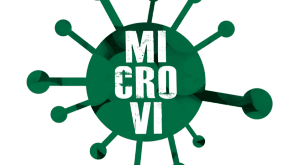 Avinyonet del Penedes micro vi 1 1 Qppb2F.tmp