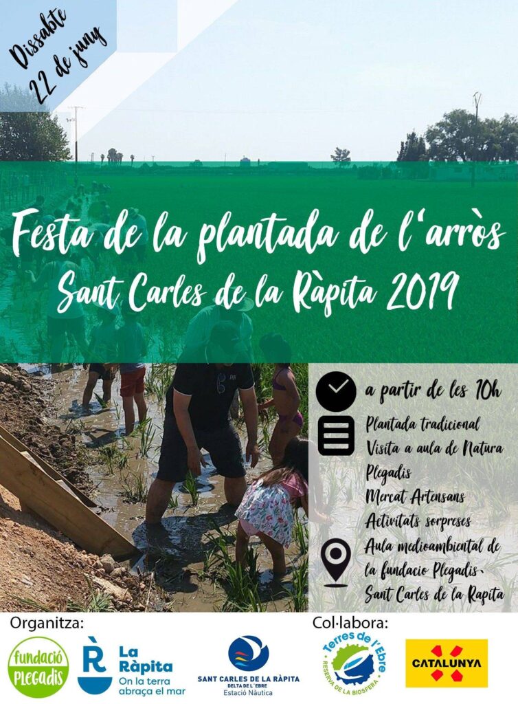 Festa de la Plantada de l Arros a Sant Carles de la Rapita 2019 QqNLus.tmp