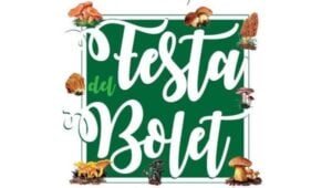 Fira del Bolet a Setcases