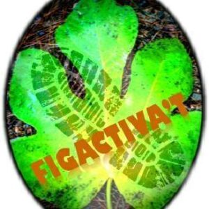 Figactiva’t a Figuerola del Camp