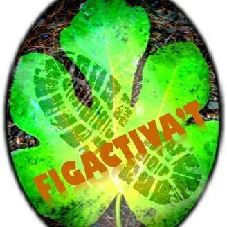 Figactivat a figuerola del camp lzygjg.tmp