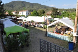 Fira Mercat de Sant Ponç de Cànoves i Samalús foto 7 (1)