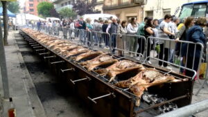 Fira Pallars Terra de Corder