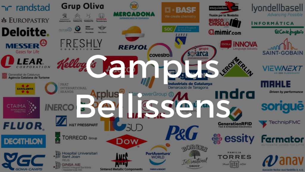 Fira d Ocupacio URV Universitat Rovira i Virgili bellissens MsY2FX.tmp