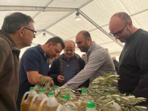 Fira d’Oli del Pirineu a Aramunt foto