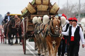 Fira de Sant Antoni Abat i Tres Tombs a Arenys de Munt foto