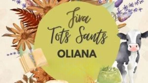 Fira de tots sants a oliana portada 23 min hdrqc7 photoroom