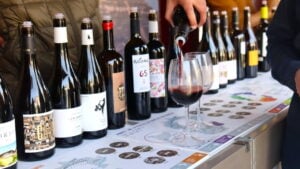 Fira de Vins i Caves a Molins de Rei