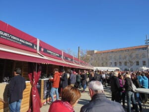 Fira de Vins i Caves a Molins de Rei foto 2 (1)