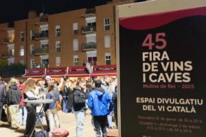 Fira de Vins i Caves a Molins de Rei foto 3 (1)