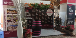 Fira de Vins i Caves a Molins de Rei foto 4 (1)