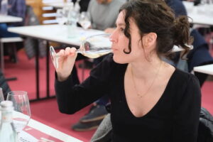 Fira de Vins i Caves a Molins de Rei foto 5 (1)