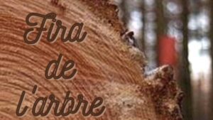 Festa de l’arbre i Fira de la Natura Festa de l’arbre i Fira de la Natura