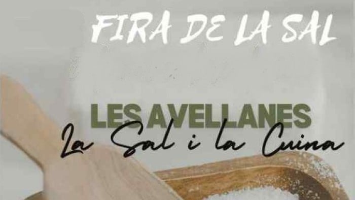 Fira de la sal a les avellanes i santa linya portada2025