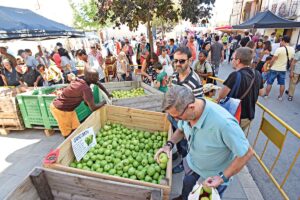 Fira de la poma a l’armentera foto 1 min