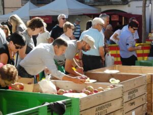Fira de la poma a l’armentera foto 8 min