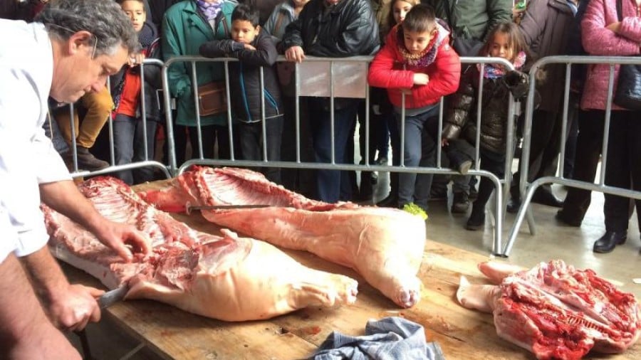 Fira del Porc a Canet d'Adri portada