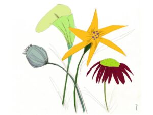 Fira d’intercanvi de plantes a Sant Cugat del Vallès