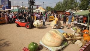 Fira de Carabasses Gegants a Sidamon