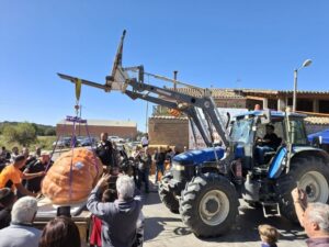 Mostra de la Terra i Concurs de Carbasses de Sedó foto