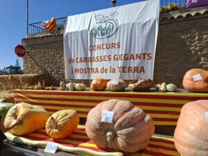 Mostra de la Terra i Concurs de Carbasses de Sedó foto