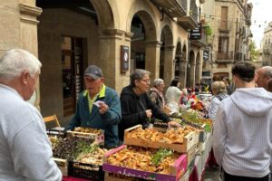 SolsoTerra, Fira de la Terra del Solsonès foto