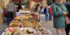 SolsoTerra, Fira de la Terra del Solsonès foto