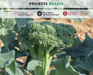 El BRAAVA, al Prat de Llobregat