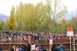 Cavall puigcerda 2025 (1)