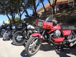 Espunyola 253