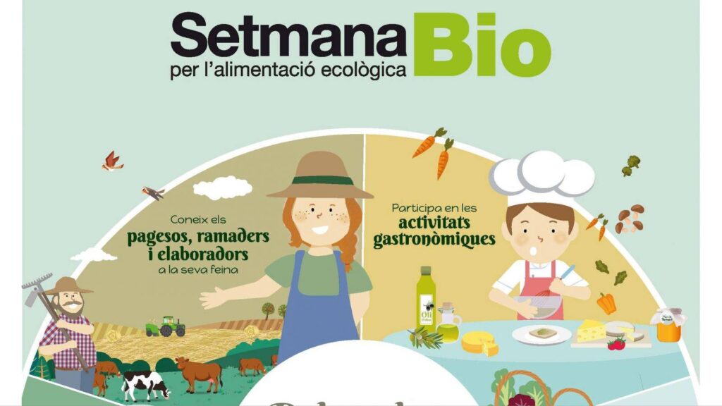 File 51 scaled BuhYRF.tmp