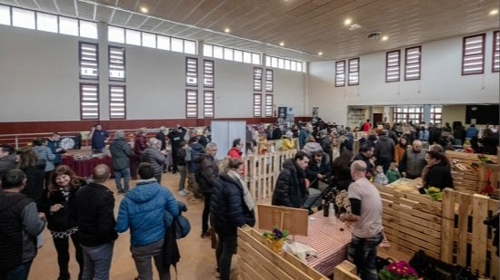 Fira bellaguarda (1)