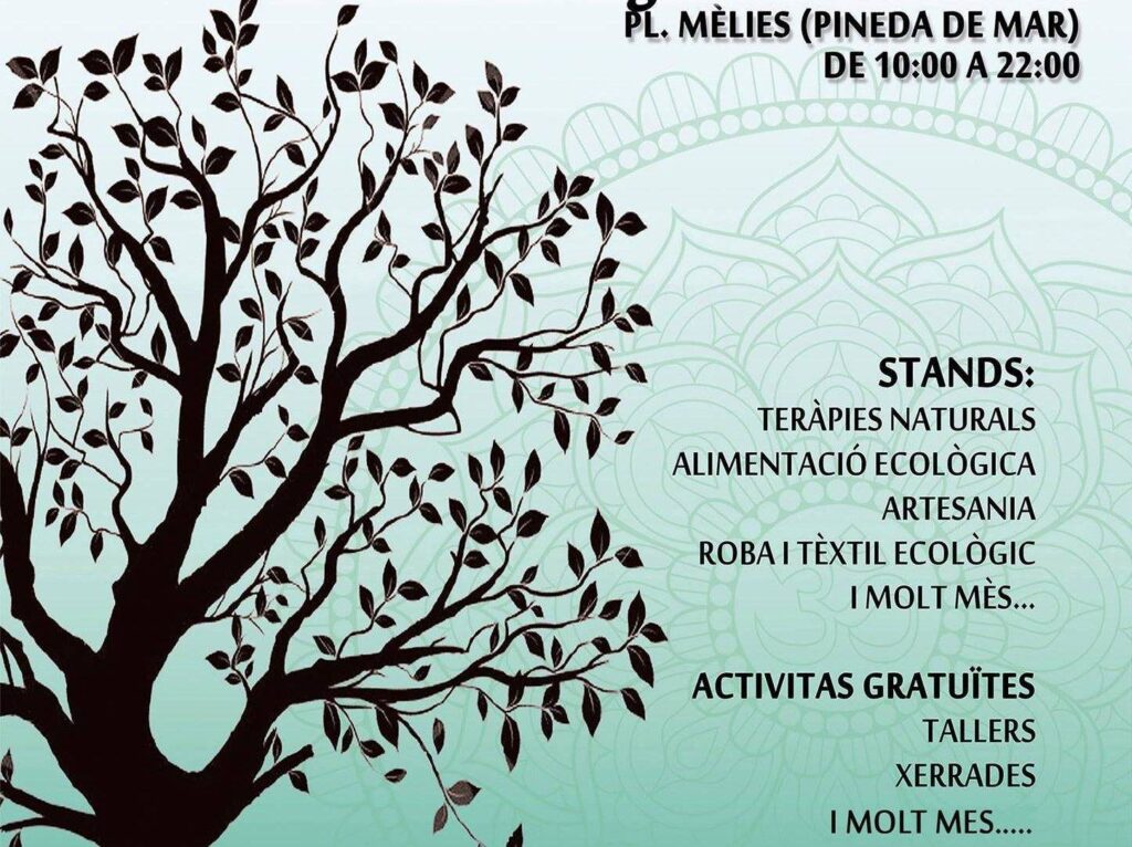 Fira pineda alternativa e1564592132663 QXDcUg.tmp